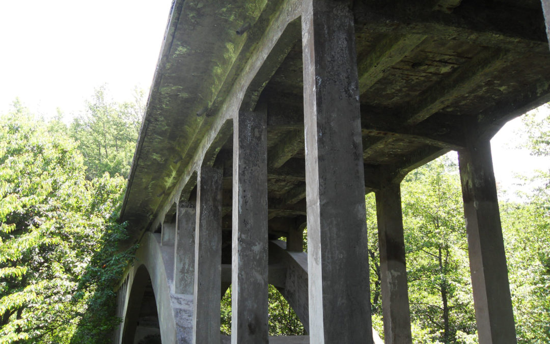 Ponte Rio Nero